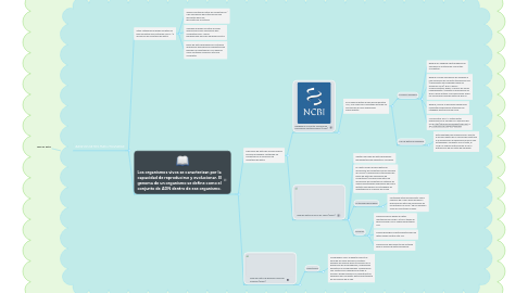 Mind Map: Base de datos