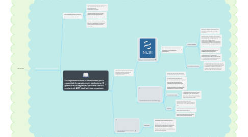 Mind Map: Base de  datos