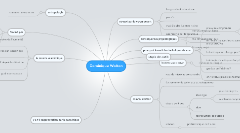 Mind Map: Dominique Wolton