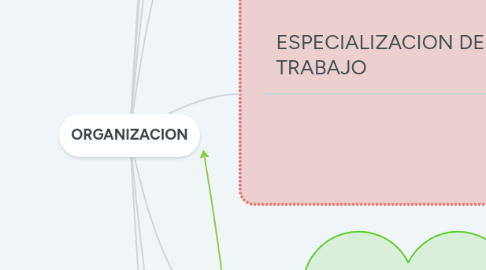 Mind Map: ORGANIZACION