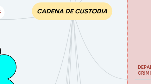 Mind Map: CADENA DE CUSTODIA