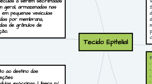 Mind Map: Tecido Epitelial