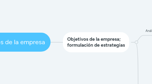 Mind Map: objetivos de la empresa