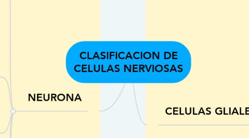 Mind Map: CLASIFICACION DE CELULAS NERVIOSAS
