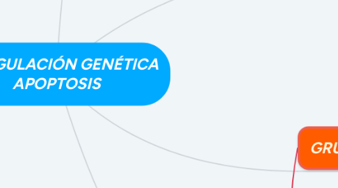 Mind Map: REGULACIÓN GENÉTICA APOPTOSIS