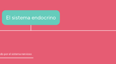 Mind Map: El sistema endocrino