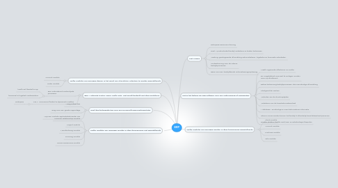 Mind Map: ERP