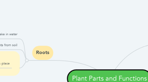 Mind Map: Plant Parts and Functions