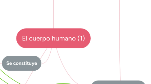 Mind Map: El cuerpo humano (1)