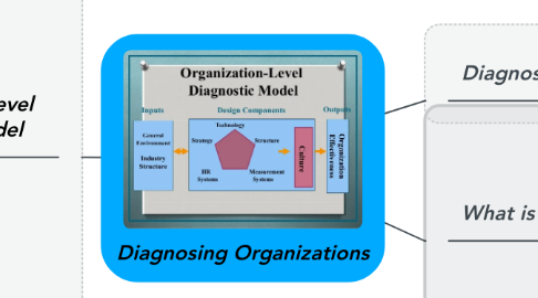 Mind Map: Diagnosing Organizations