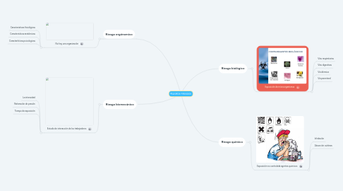 Mind Map: PELIGROS Y RIESGOS
