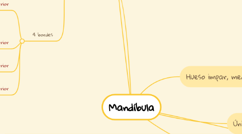 Mind Map: Mandíbula