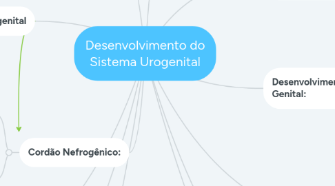 Mind Map: Desenvolvimento do Sistema Urogenital