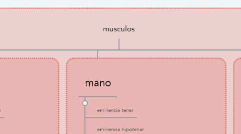 Mind Map: musculos