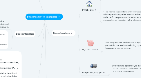 Mind Map: Bienes tangibles e intangibles