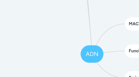 Mind Map: ADN