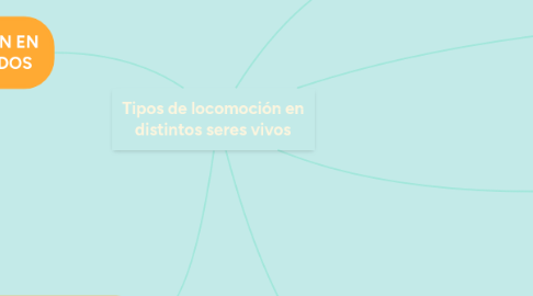 Mind Map: Tipos de locomoción en distintos seres vivos