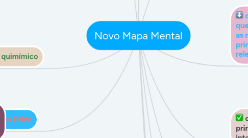 Mind Map: Novo Mapa Mental