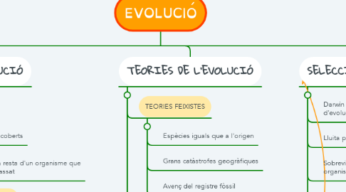 Mind Map: EVOLUCIÓ