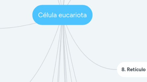 Mind Map: Célula eucariota