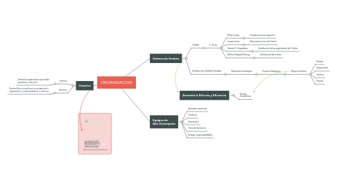 Mind Map: ORGANIZACION