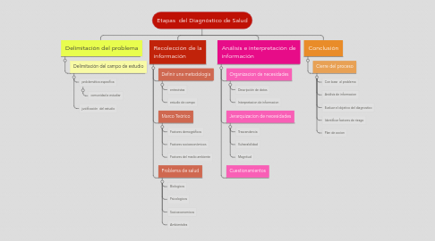 Mind Map: Etapas  del Diagnóstico de Salud