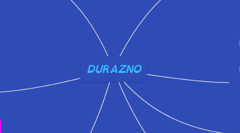 Mind Map: DURAZNO