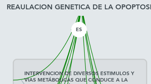 Mind Map: REAULACION GENETICA DE LA OPOPTOSIS