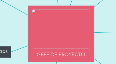 Mind Map: GEFE DE PROYECTO