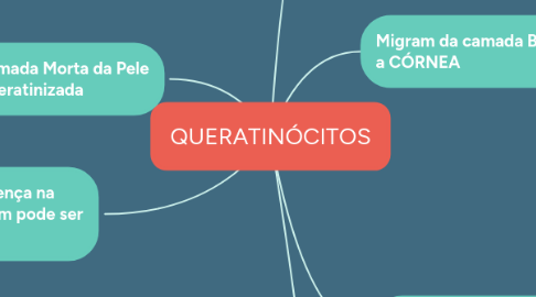 Mind Map: QUERATINÓCITOS