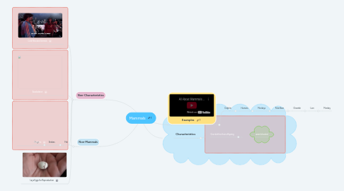 Mind Map: Mammals