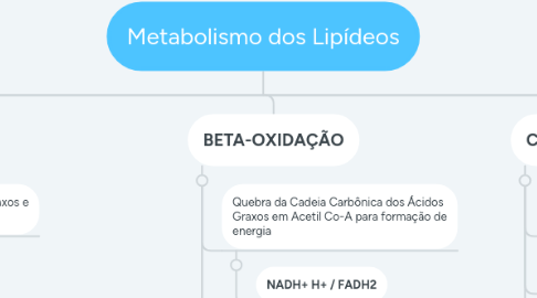 Mind Map: Metabolismo dos Lipídeos