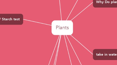 Mind Map: Plants