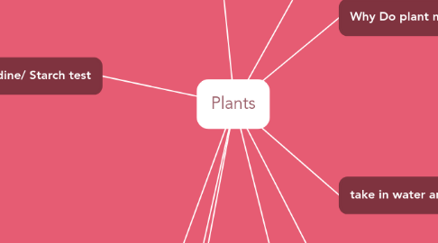 Mind Map: Plants