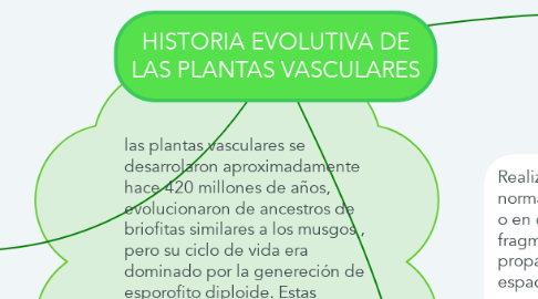 Mind Map: HISTORIA EVOLUTIVA DE LAS PLANTAS VASCULARES