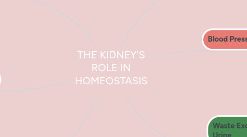Mind Map: THE KIDNEY'S ROLE IN HOMEOSTASIS