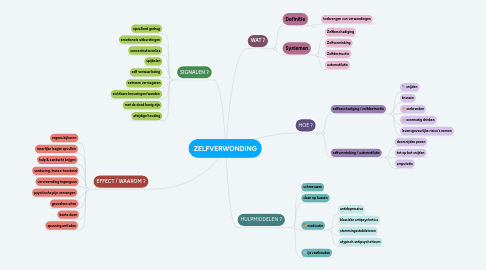 Mind Map: ZELFVERWONDING