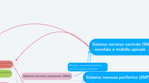 Mind Map: Sistema nervoso periferico (SNP)