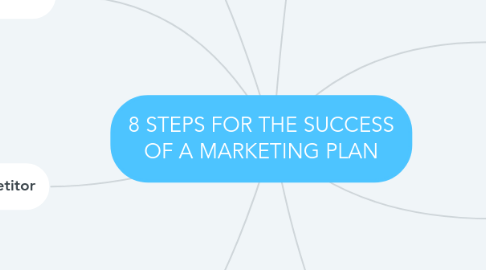 Mind Map: 8 STEPS FOR THE SUCCESS OF A MARKETING PLAN