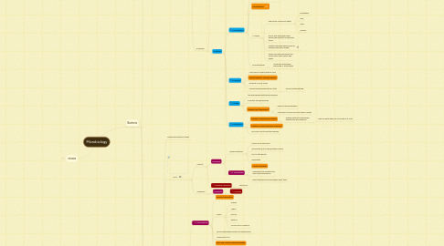 Mind Map: Microbiology