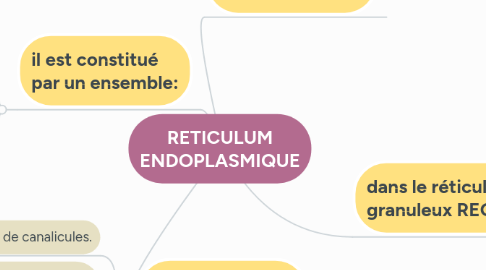 Mind Map: RETICULUM ENDOPLASMIQUE