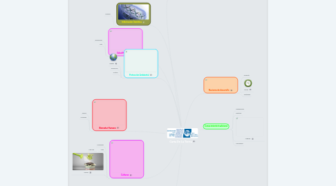 Mind Map: Carta De La Tierra