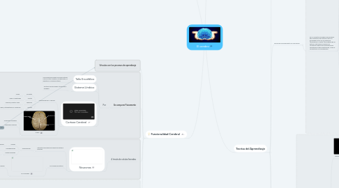 Mind Map: El cerebro