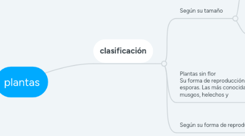 Mind Map: plantas