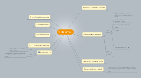 Mind Map: Tejido nervioso