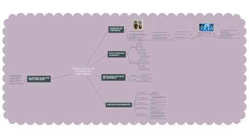 Mind Map: INTRODUCCIÓN A LOS PROGRAMAS DE COMPUTADORA.