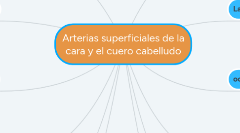 Mind Map: Arterias superficiales de la cara y el cuero cabelludo