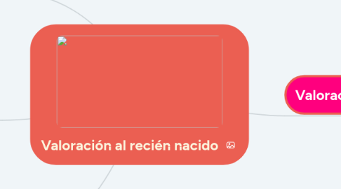 Mind Map: Valoración al recién nacido