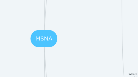 Mind Map: MSNA
