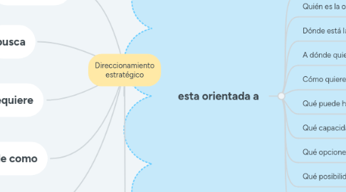 Mind Map: Direccionamiento estratégico